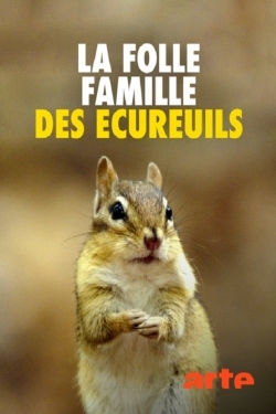 La folle famille des écureuils